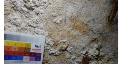 Indonesian-Cave-Hand-Stencil-Identified-as-World’s-Oldest-Known-Rock-Art